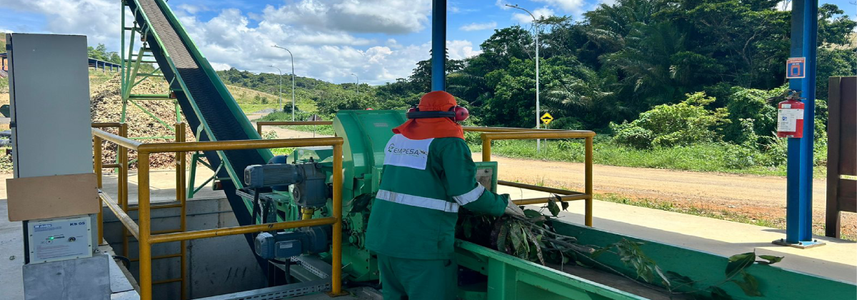 Novo Projeto (1)